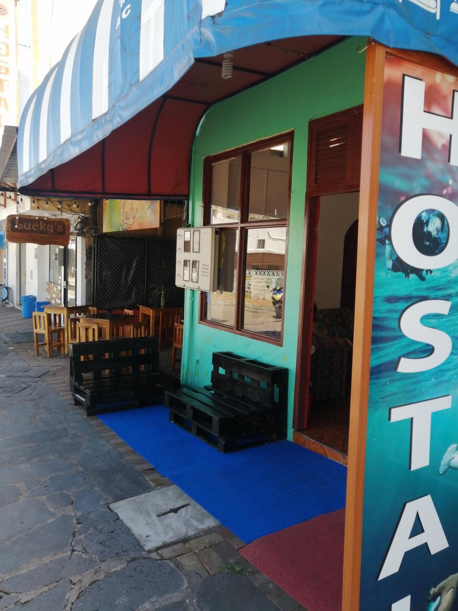 Hostal La Casa De Luis プエルト・バケリソ・モレノ エクステリア 写真